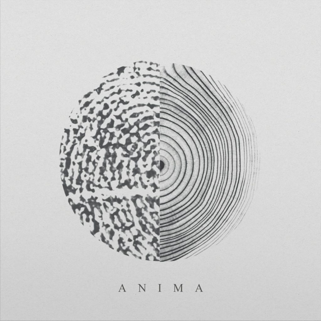 Anima (Group B, Side B)